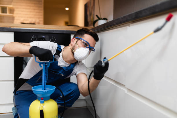 Best Pest Prevention Services  in Wallace, FL