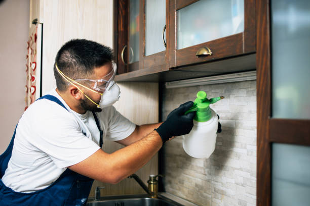 Best Flea Control Services  in Wallace, FL