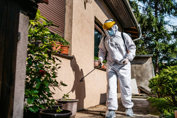 Best Bed Bug Extermination  in Wallace, FL