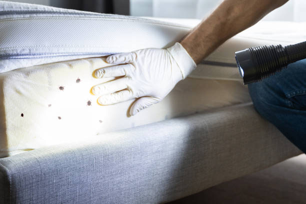 Best Best Pest Control Companies  in Wallace, FL